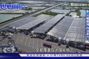 【世界翻轉中】種綠電養台灣鯛 水溫冬暖夏涼收成增22倍｜TVBS新聞